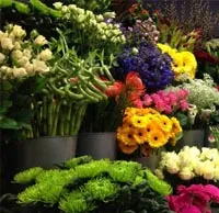 Florist