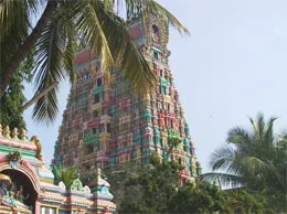 Srivilliputhur Yellow Pages